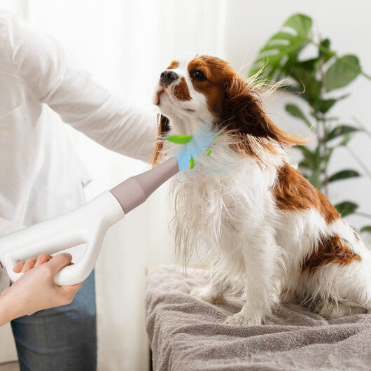 Dog Cat Hair Blower with Negative Ion Function and Adjustable Temperature - Color: White